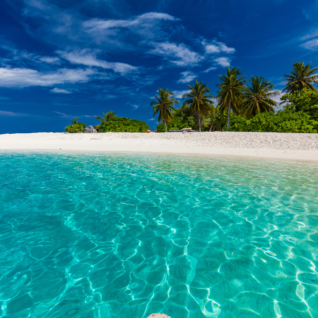 Clear turquoise waters with white sandy beach and palm trees under a vibrant blue sky in Maldives holiday packages 1080x1080px
