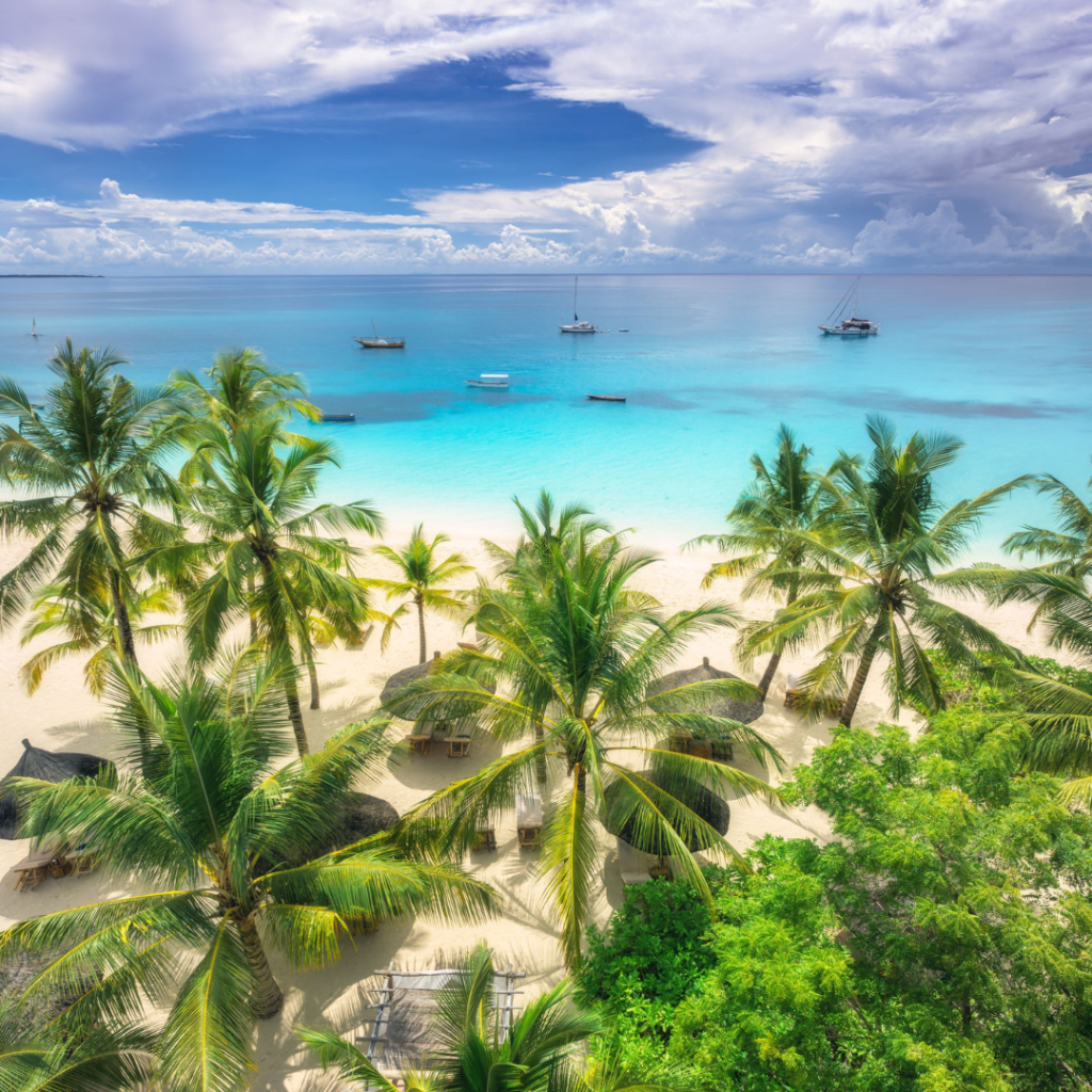 Idyllic beach in Zanzibar with palm trees, turquoise sea, and boats anchored offshore packages 1080x1080px