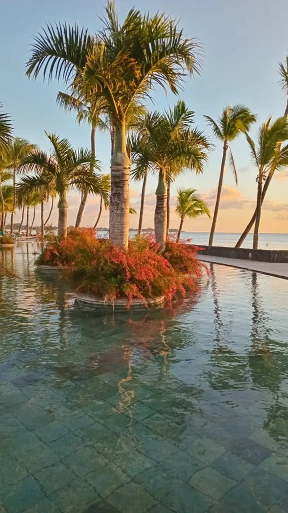 Palm trees by the pool at sunset with ocean views highlighting the beauty of Beachcomber Mauritius Specials.
