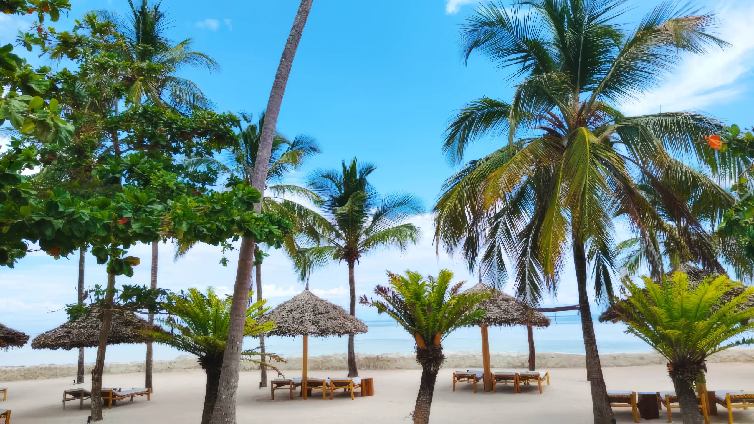 Palm lined beach area at Jaz Amaluna Zanzibar resort