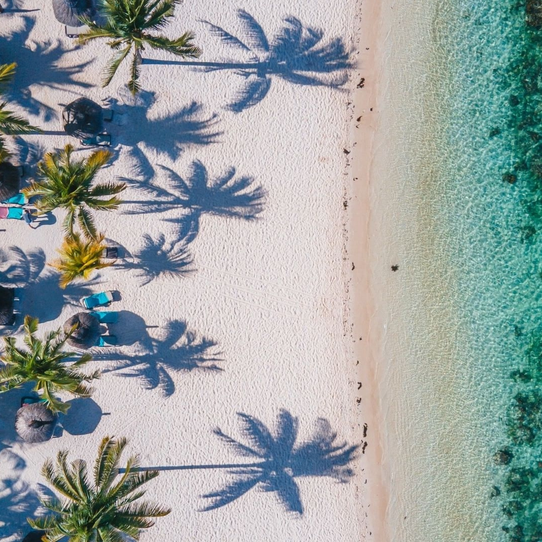 Aerial view of a white sandy beach in Mauritius, with palm trees, sun loungers and clear turquoise water.